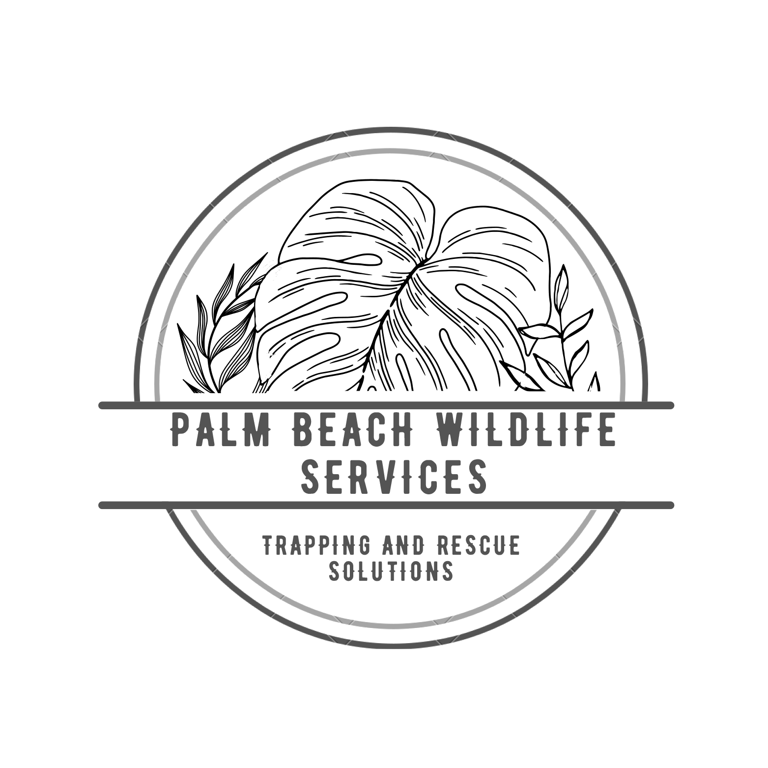 site logo