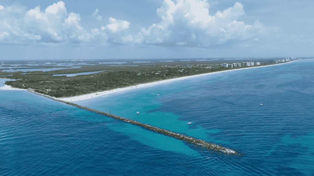 Blue ocean and coastline view representing St. Lucie County wildlife services