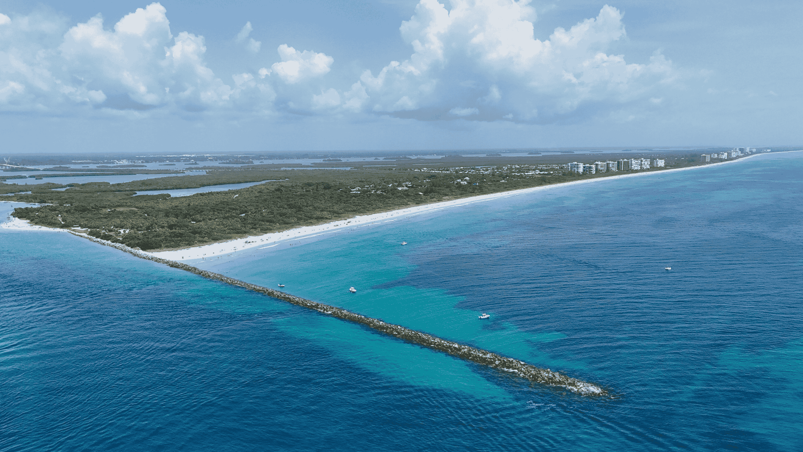 Blue ocean and coastline view representing St. Lucie County wildlife services