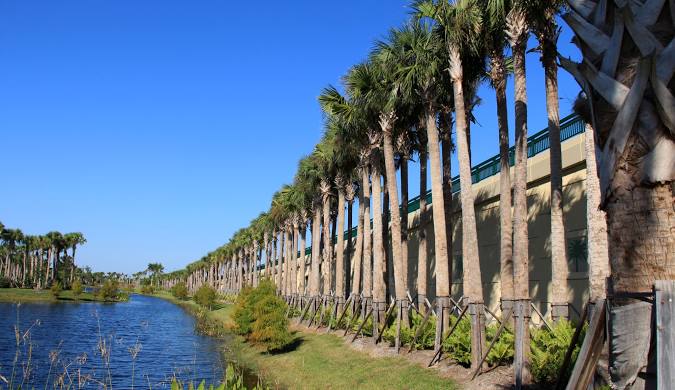 Animal Control in Palm City, FL